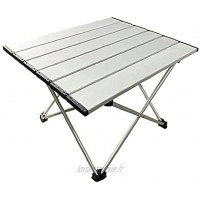 Yililay Table Pliante Camping en Plein air Table de Pique-Nique Mini Portable Table légère pour Plage Randonnée Argent