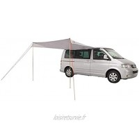 Easy Camp Canopy.